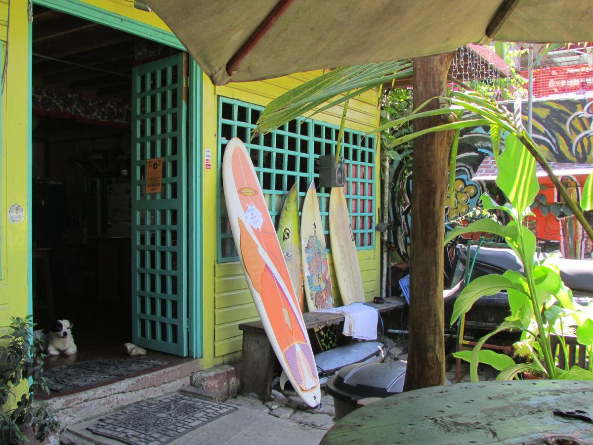 Coconut Hostel Bocas Town Eksteriør billede